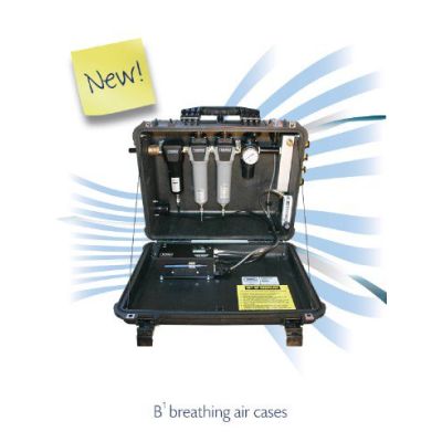 Nano Purification 100 CFM Breathing Air Dryer for Grade-D Breathing Air | BAC 100 CP N